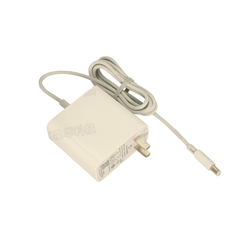 100W Wall-mounted Adapter